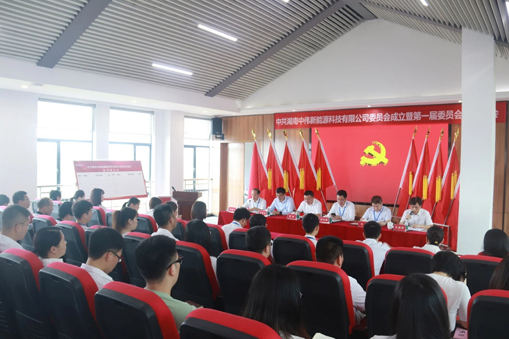 新起点开启新征程丨中共湖南中伟新能源党委正式成立