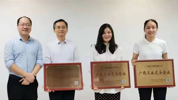 广西中伟新能源科技有限公司荣膺 “广西工业龙头企业”