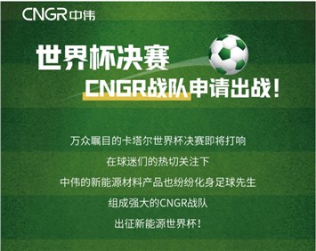 世界杯决赛 | CNGR战队申请出战！