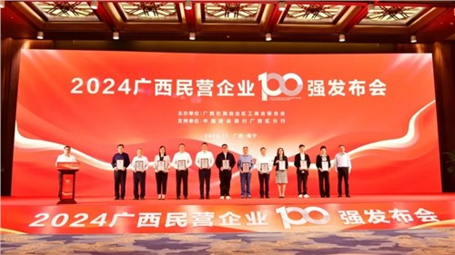 喜报！中伟在“2024广西民营企业100强发布会”上荣获三项大奖